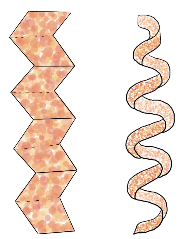 protein: pleated sheets and helices
